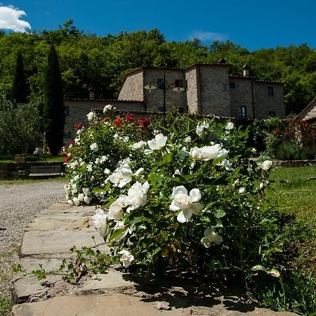 Agriturismo Azienda Agricola Il Pozzo Capolona Exterior foto