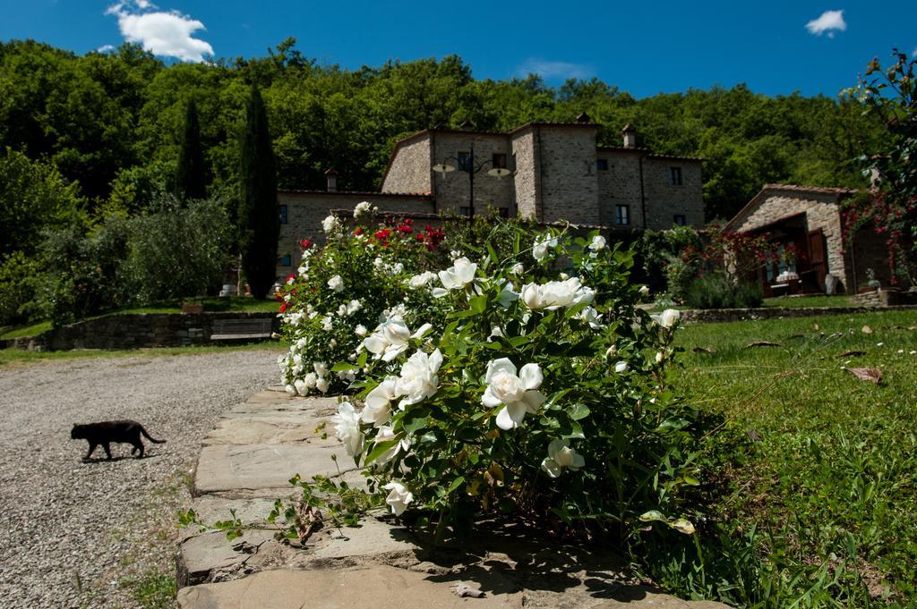 Agriturismo Azienda Agricola Il Pozzo Capolona Exterior foto