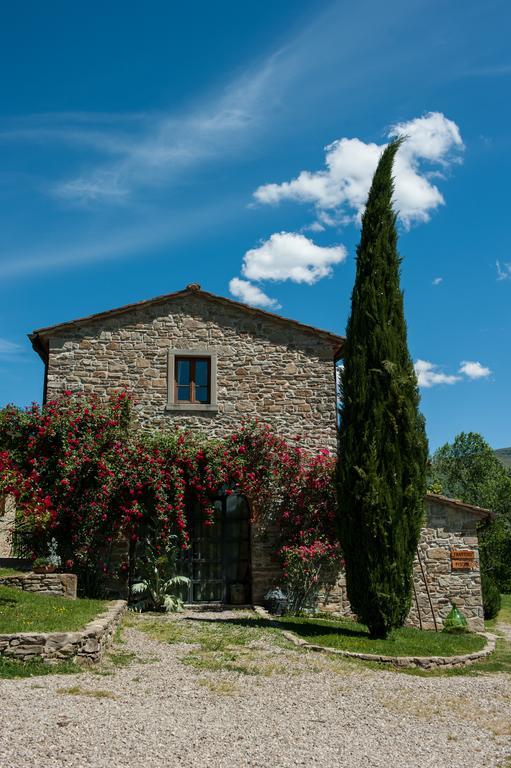 Villa Agriturismo Azienda Agricola Il Pozzo Capolona Exterior foto